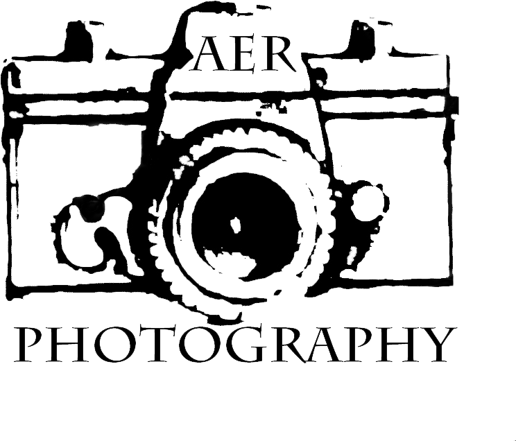 Key West Historic Seaport - Poster (800x800), Png Download