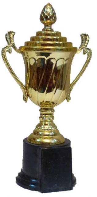 Corporate Gift Company,corporate Office Christmas Gifts - Trophy (800x800), Png Download