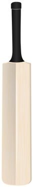 Cricket - Cricket Bat Vector Free (500x500), Png Download