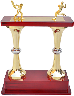 Mt 3462 Metal Cricket Trophy - Cricket (313x490), Png Download