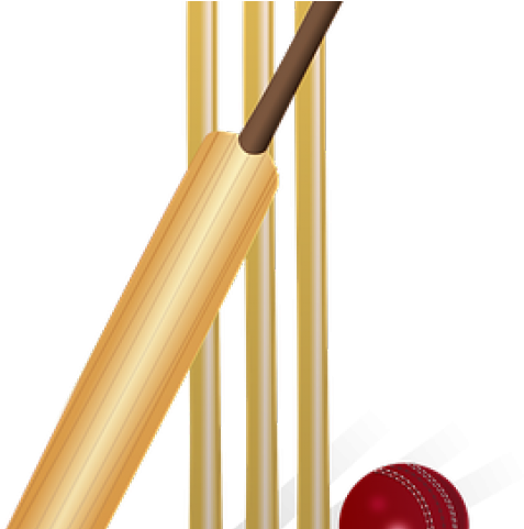 Day Without Cricket Throw Blanket (640x480), Png Download