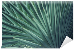 Real Tropical Leaves Background, Jungle Foliage Wall - Leaf (400x400), Png Download