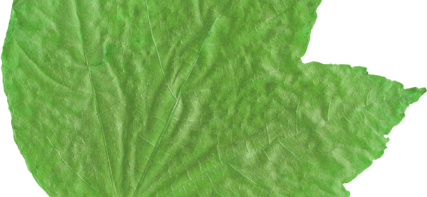 Newsletter Signup - Quilt (608x281), Png Download