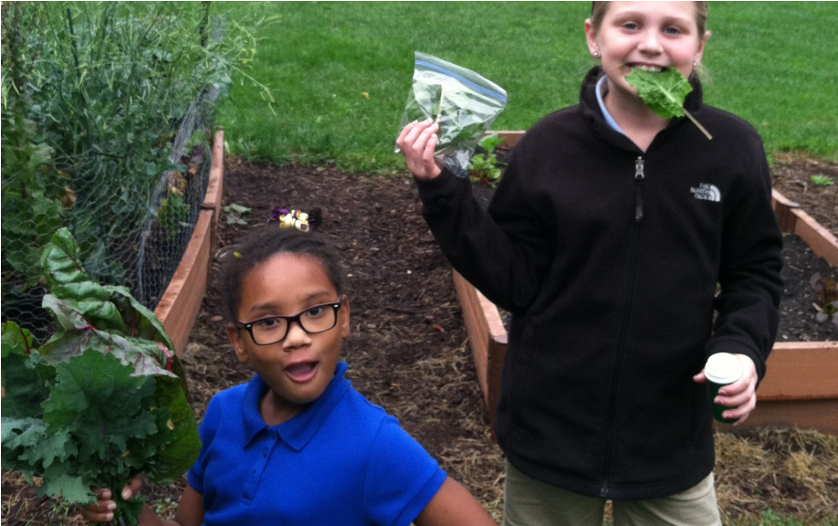 Two Girls Proudly Display Bundles Of Freshly Picked - Fun (1200x575), Png Download
