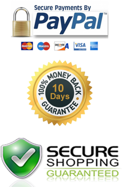 Celebrity Jacket - Autumn Forest Print On Canvas, Forest Wall Art, Framed (1000x1000), Png Download