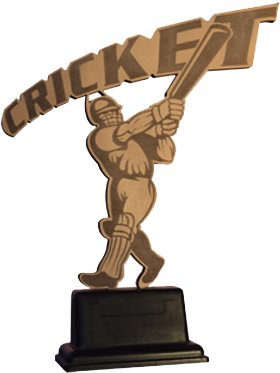 Cricket Sports Trophies - Eco2 (500x500), Png Download