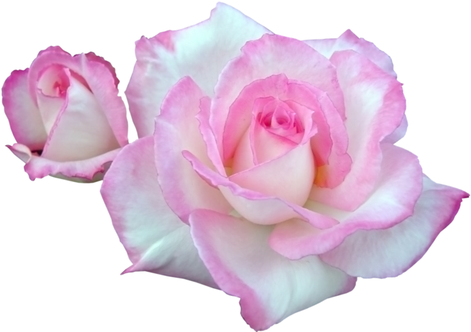 120335434 23 - Portable Network Graphics (699x481), Png Download