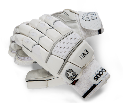 Product Maintenance - Cricket Gloves Png (439x354), Png Download