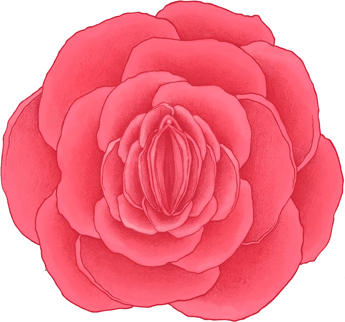 Rose Vagina (1349x1063), Png Download