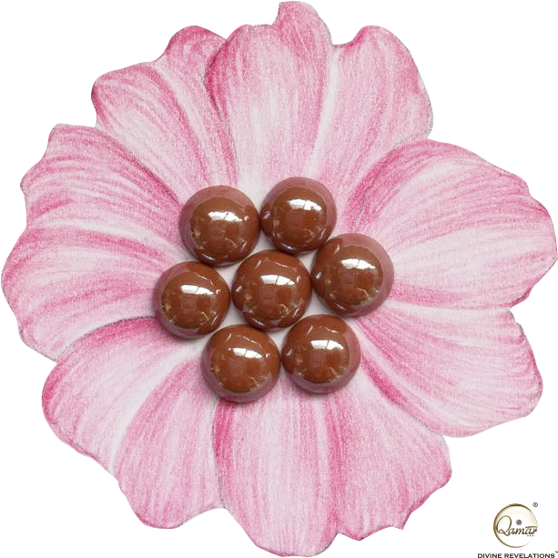 Brown - Zinnia (678x678), Png Download