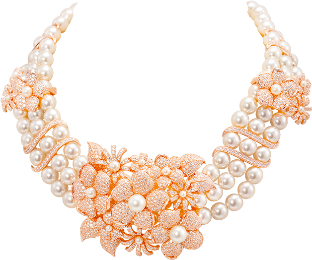 Product - Illustration (800x800), Png Download