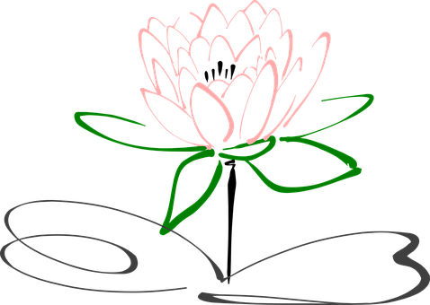 Lotus Flower Blossom Plant Nature Pink Blo - Drawing Lotus Flower (478x340), Png Download