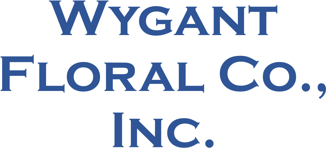 Candles Molds Online India (1500x764), Png Download