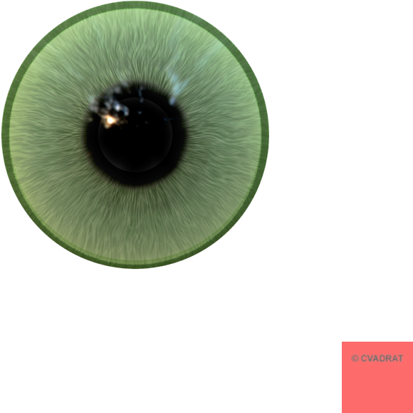 Geometrical And Mathematical Graphics Design - Illustrator (800x800), Png Download