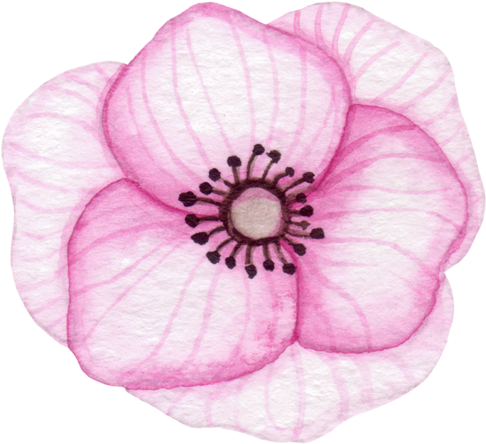 Baby Naming Services - California (800x726), Png Download