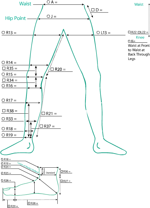 Ct Panty Longlegs R - Diagram (590x740), Png Download