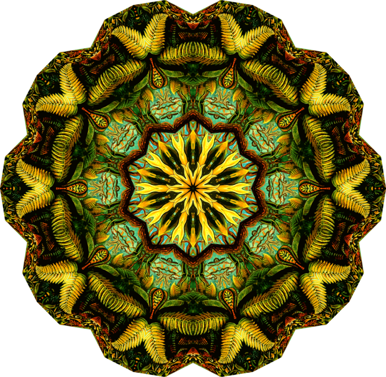 Adj Products Monster Duo Dual Lens High Output Moonflower - Filicinae Nature Art Print Poster By Ernst Haeckel (768x750), Png Download