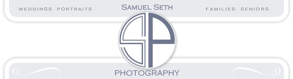Houston Wedding And Portrait Photography Samuel Seth - Houston (980x265), Png Download