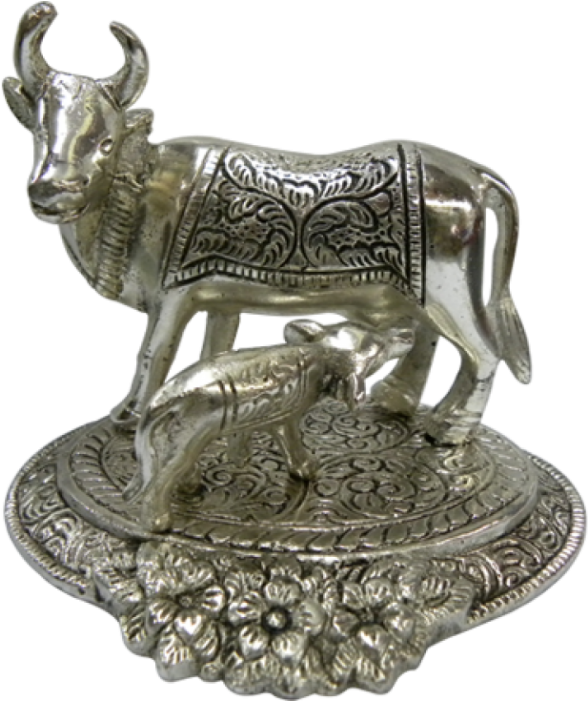 Cattle (700x700), Png Download