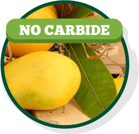 Aroma Of Our Fruit - Sweet Lemon (560x496), Png Download