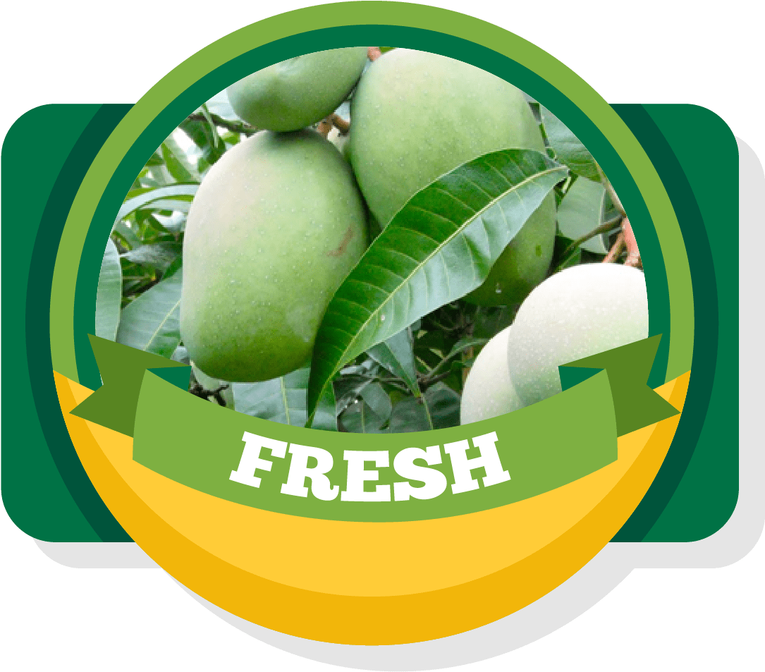 Aroma Of Our Fruit - Mango (1167x1031), Png Download