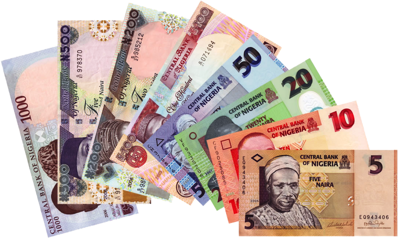 Hot Neigbourhood Business Ideas To Make Money - 5 Nigerian National Symbols (800x476), Png Download