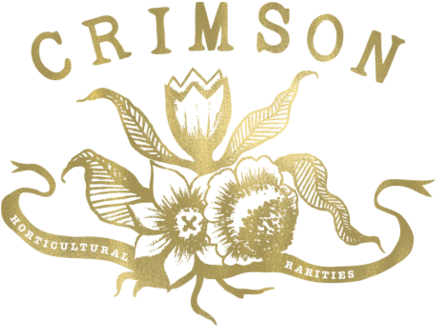 The Top Best Flowers & Gifts Near Me - Crimson Horticultural Rarities (500x379), Png Download