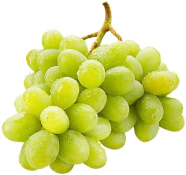 Green Grapes - Kombucha Niagara Grape Sparkling Wonder Drink - 250 (660x450), Png Download