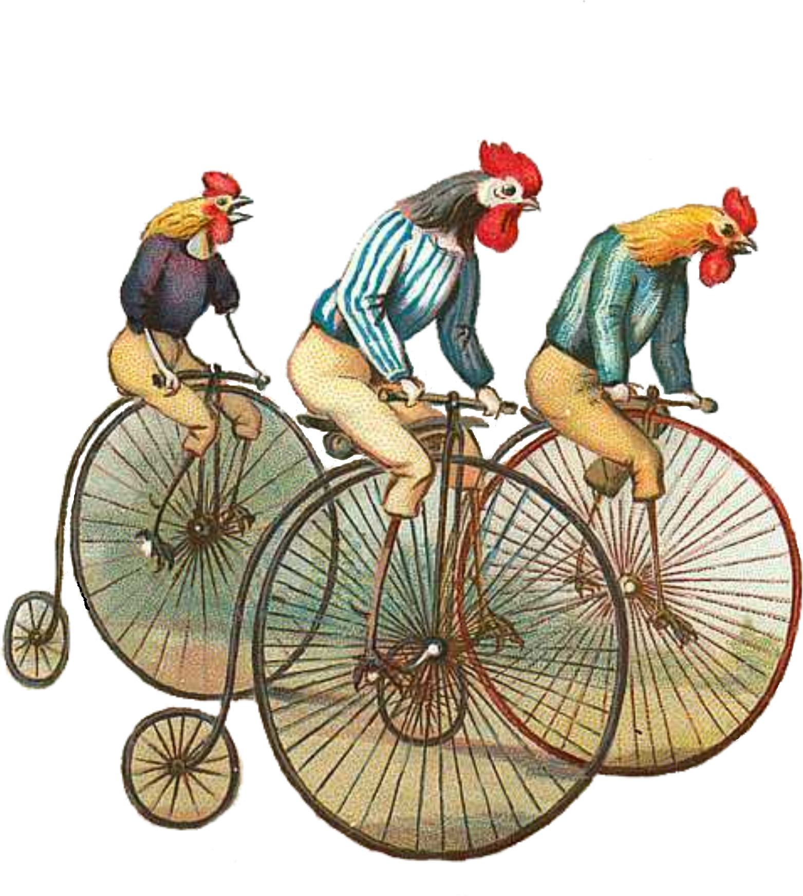 Auctions - Penny Farthing Birthday (1563x1743), Png Download