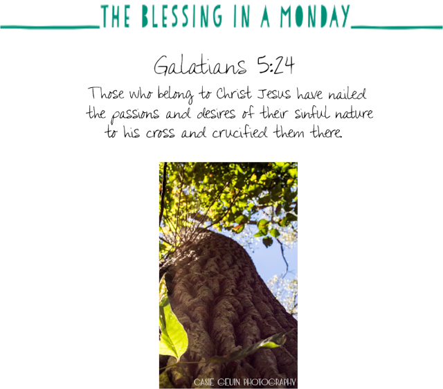 The Blessing In A Monday - Religious Text (640x562), Png Download