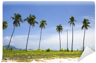 Coconut (400x400), Png Download