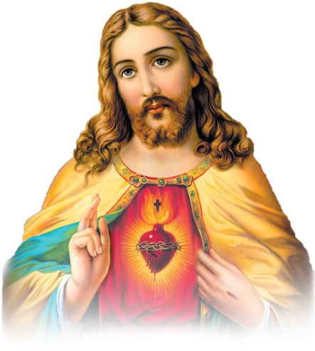 Catholic Church - Sacred Heart Images Png (568x493), Png Download