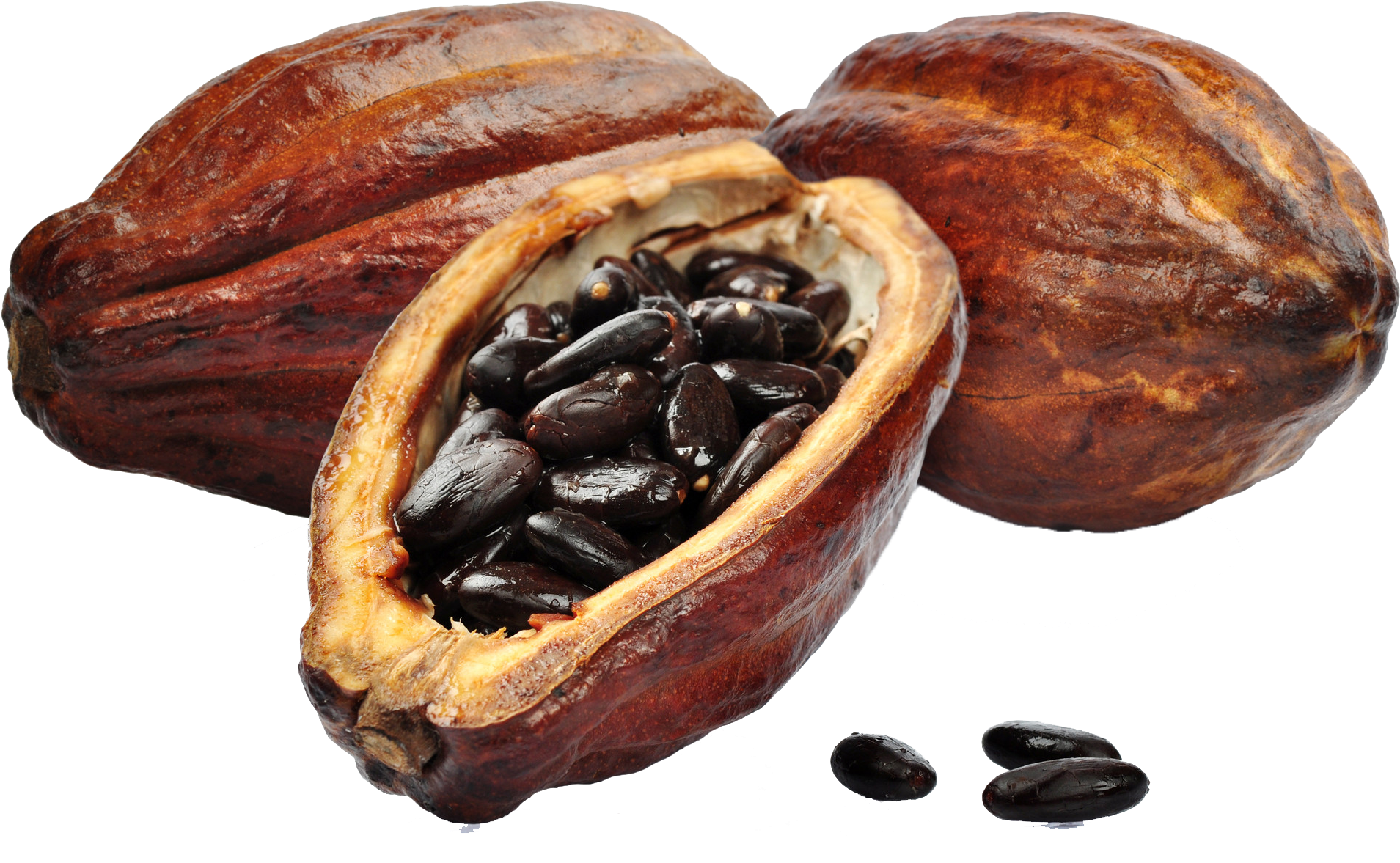 Imagenes De El Cacao (2044x1408), Png Download