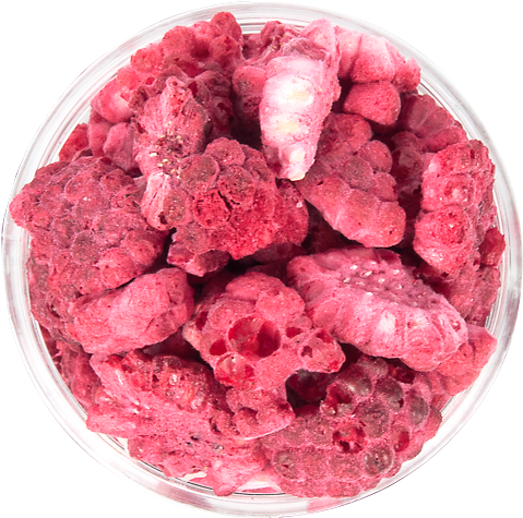 Raspberry Freeze Dried Diced - Raspberry (500x500), Png Download