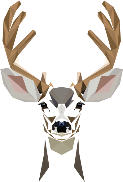 Animal Graphics - Animal Graphic Png (600x600), Png Download