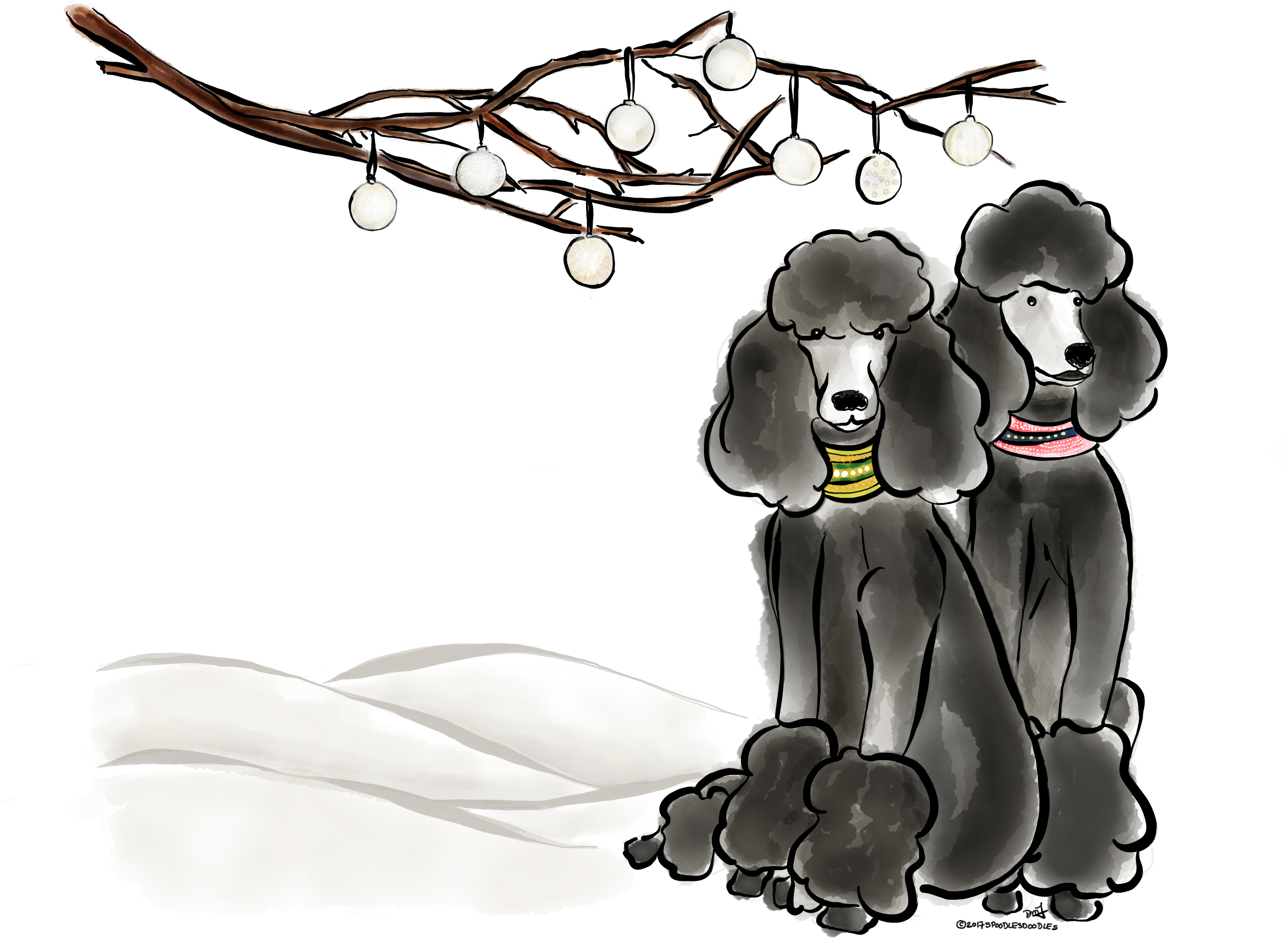 Dog - Poodle Quotes (2732x2048), Png Download