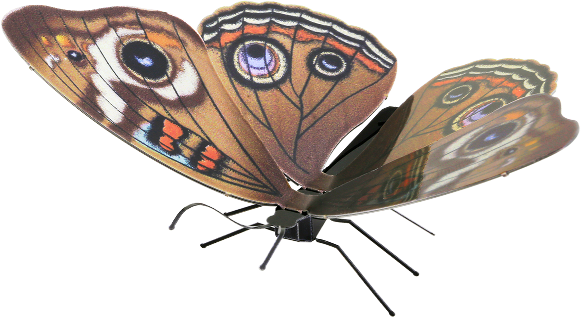 Picture Of Buckeye - Metal Earth Butterfly Buckeye (620x619), Png Download
