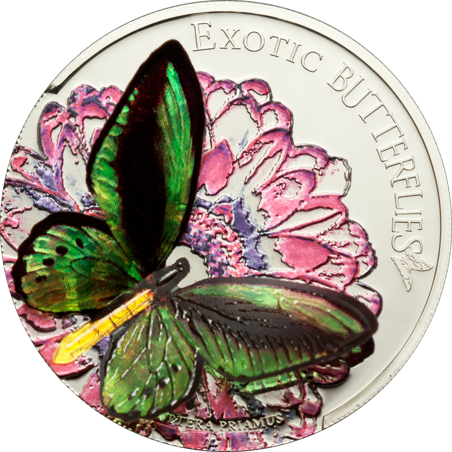 Butterflies - Exotic Butterflies Tokelau (910x910), Png Download