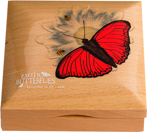 Zoom - Plywood (600x600), Png Download