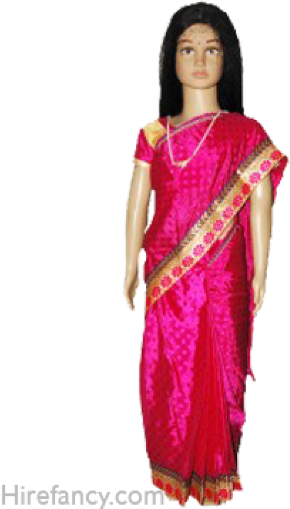 South Indian Woman - Sari (800x1020), Png Download