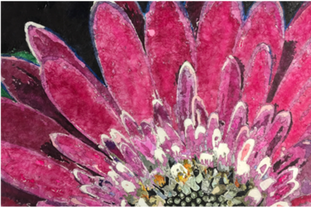 Search Our Site - Protea (640x640), Png Download