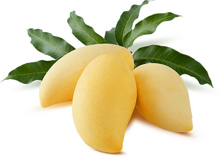 Tasting Mangos All Year Round - Nam Dok Mai Mango Png (444x312), Png Download