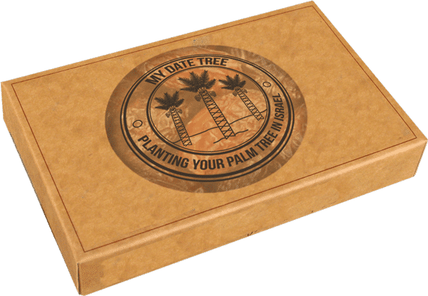 My Date Tree (600x416), Png Download