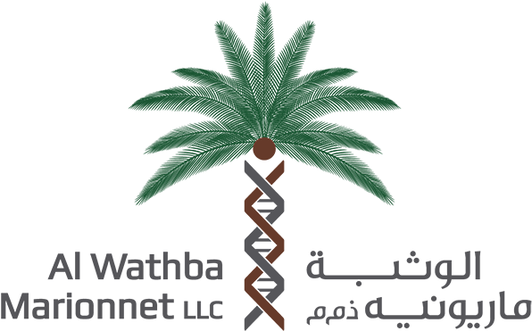 Attalea Speciosa (600x384), Png Download