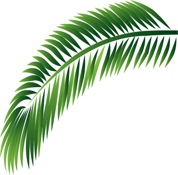 Decorative Leaf - Png Montego Bay Inspired Clip Art (364x357), Png Download