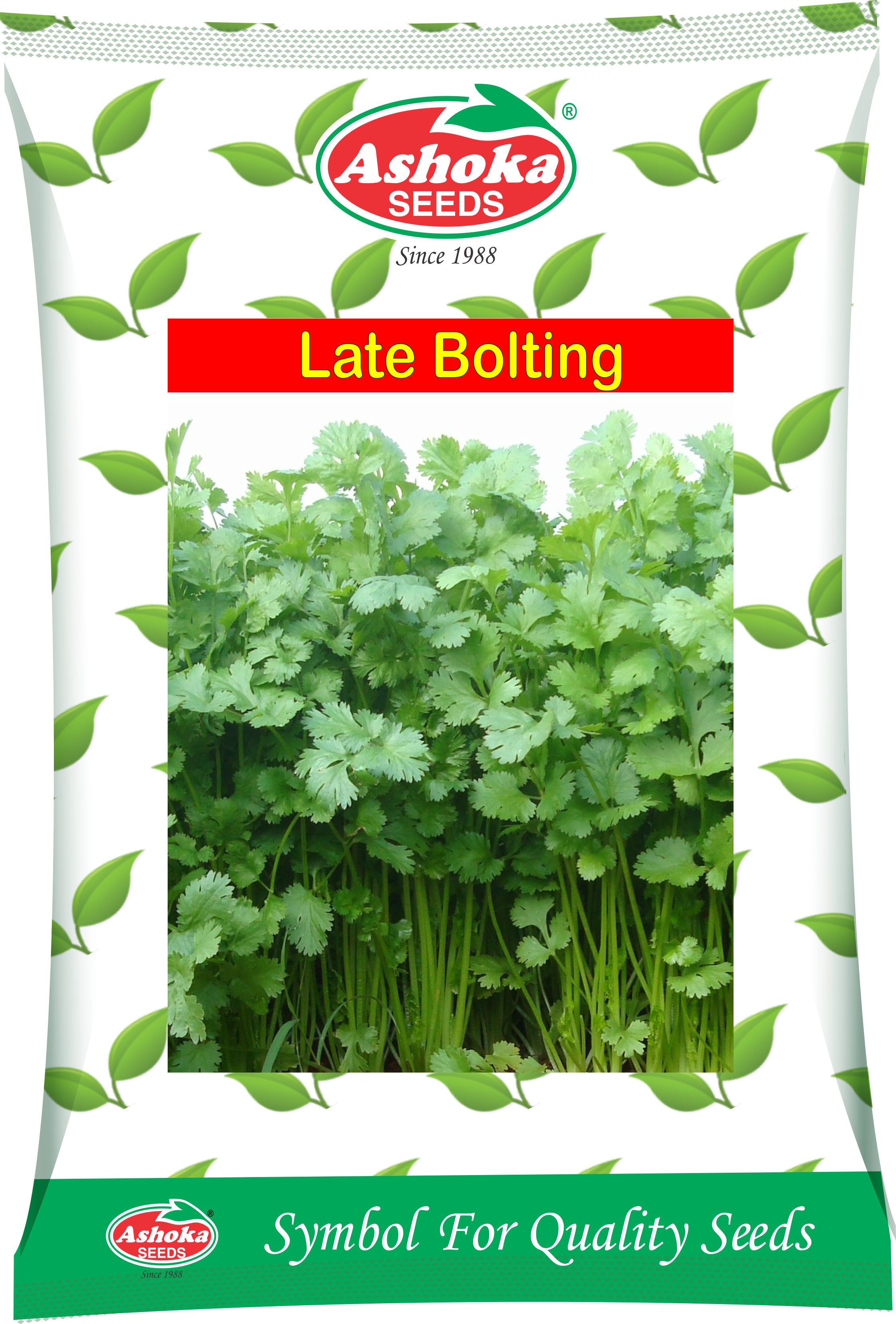 Our Profile - Ashok Seeds In Chilli Product (2244x3317), Png Download