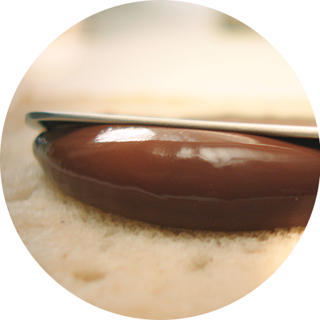 Palm Fruit Oil Delivers Its Qualities To Nutella® - Mccarran International Airport (449x450), Png Download