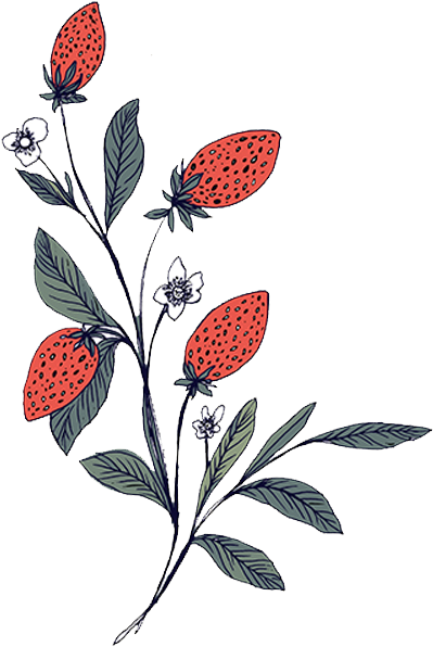 Strawberries No Text - Portable Network Graphics (600x600), Png Download