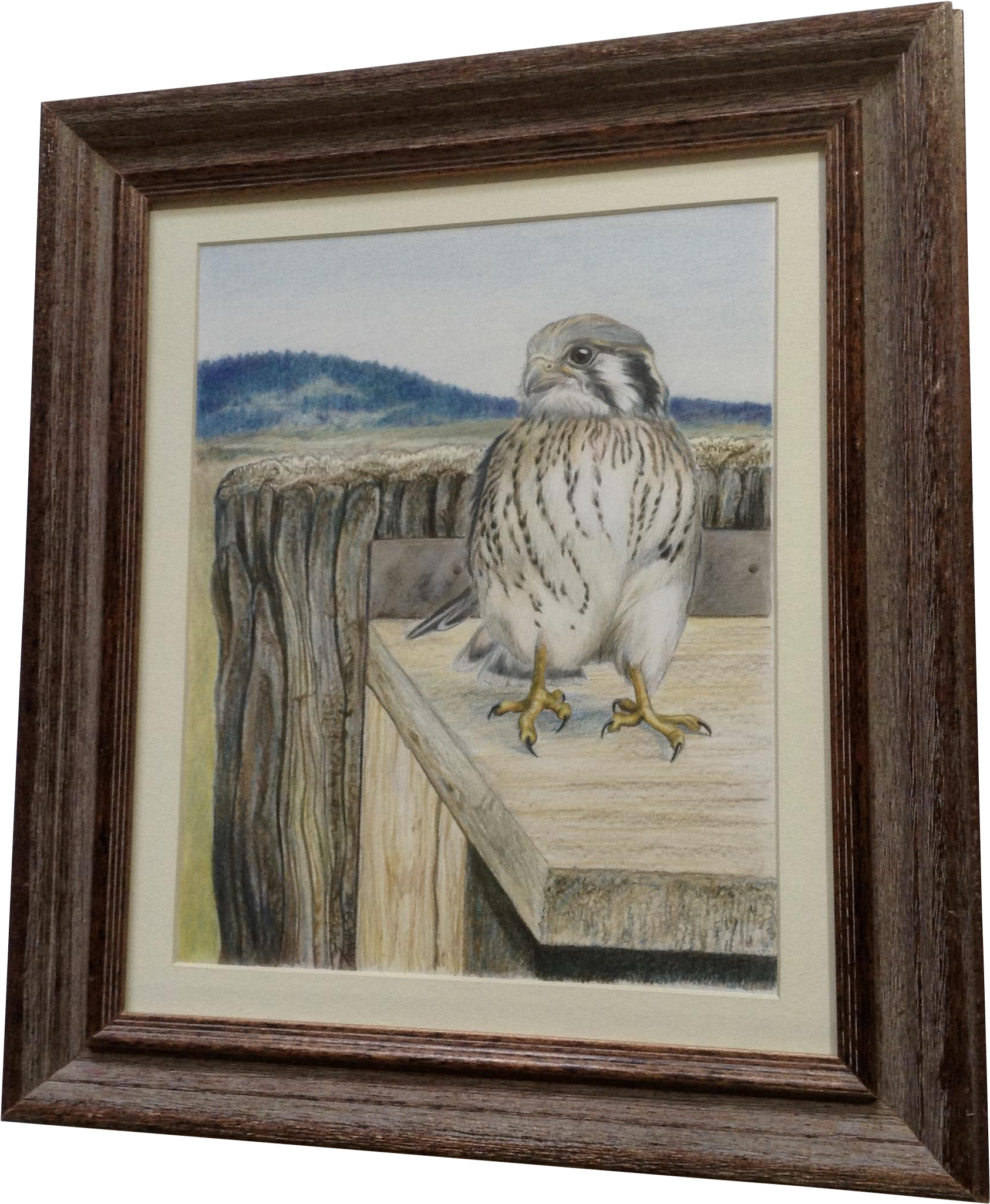 Tamara Sayre Baby Hawk Bird In The Mountains Watercolor (2048x2048), Png Download