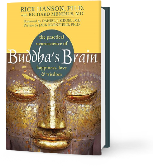 Rick Hanson Buddha's Brain (597x580), Png Download